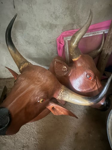 ស្នែងកន្សោង