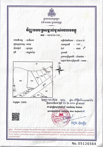 ដីលក់បន្ទាន់
