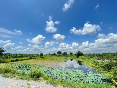 ដីលក់ កៀនស្វាយ