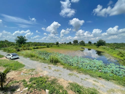 ដីលក់ កៀនស្វាយ