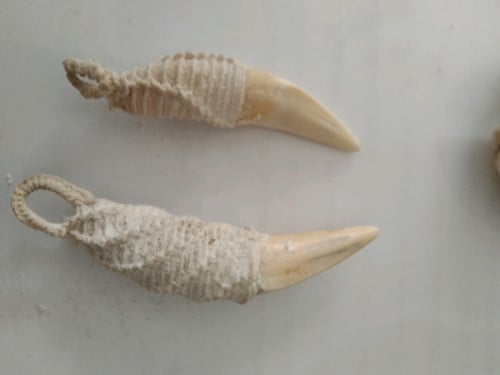 ចង្កូមខ្លា ៦ហ៊ុនជាង