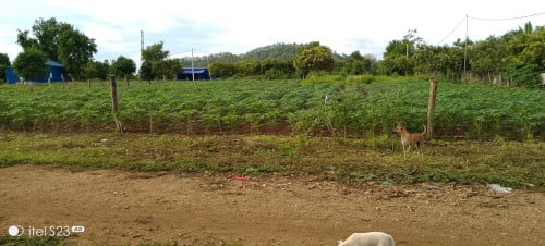 ដីលំនៅដ្ឌានលក់