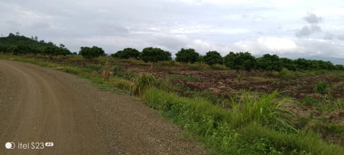 ដីចំការលក់