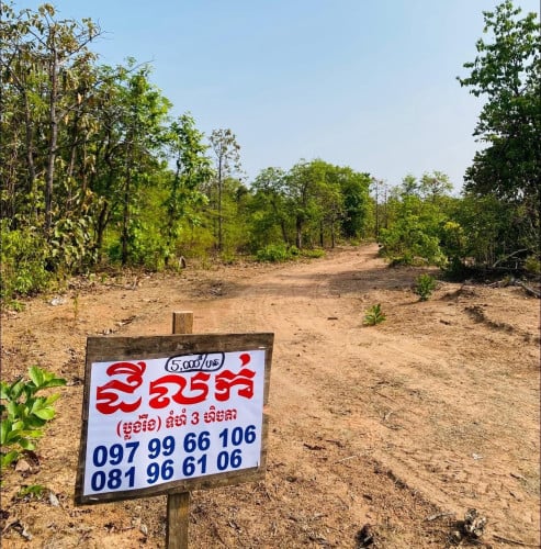 ដីចំការ