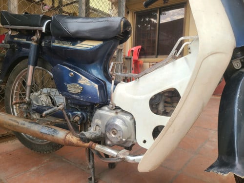 ចរចារ cub 50