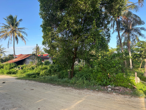 ក្បាល13mx170m