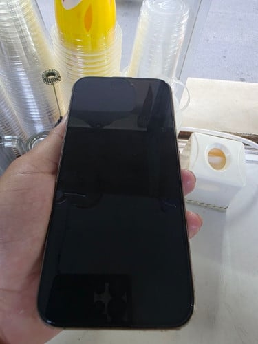 លក់ប្រញ៉ាប់លុយ IPhone 16 Pro Max ក្រុមហ៊ុន 850$ចរចារ