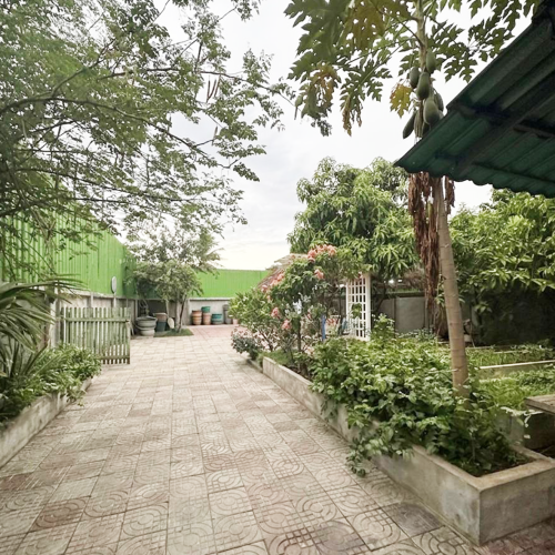 ដីឃ្លាំងសម្រាប់ជួល l Land Warehouse For Rent