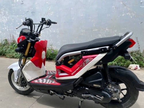 016 កាតគ្រី zoomer