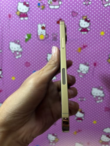 12pm 256g សានុំ 98%