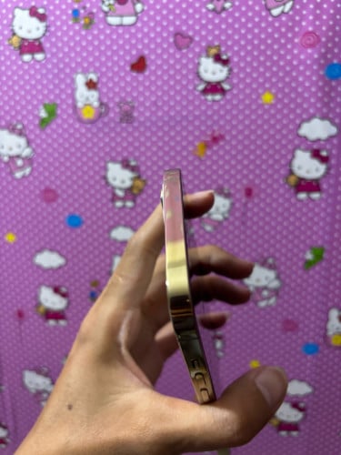 12pm 256g សានុំ 98%