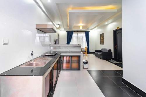 Apartment 2 bedroom for rent in siemreap