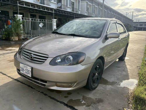 Corolla 03 le ធានាឡានស្អាត មិនបុកមិនប៉ះ ទឹកថ្នាំហ្សិន សាច់ដែកខ្ចី ឯកសារគ្រប់ម្ចាស់ដើម