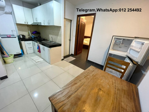 Cozy Fully Furnished Apartment for Rent