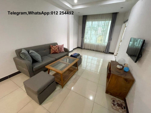 Cozy Fully Furnished Apartment for Rent