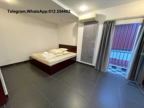 Cozy Fully Furnished Apartment for Rent