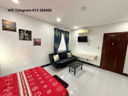 Fully Furnished Elevator Apartment for Rent