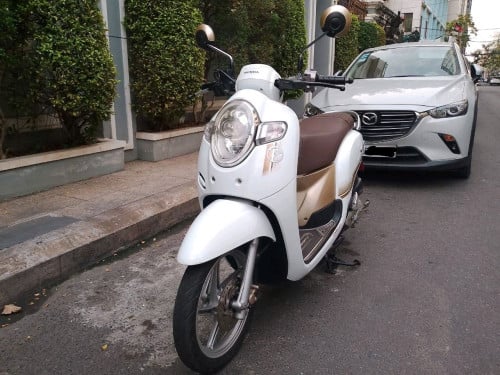 Honda scoopy