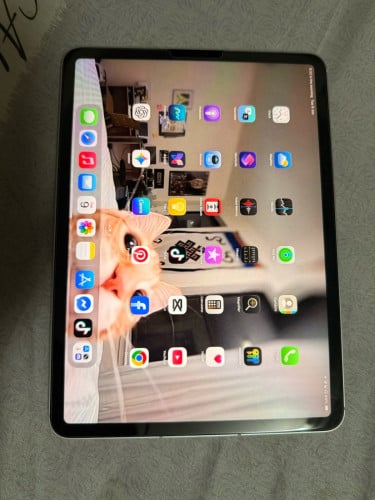 Ipad pro M2 sim+wifi 11inch
