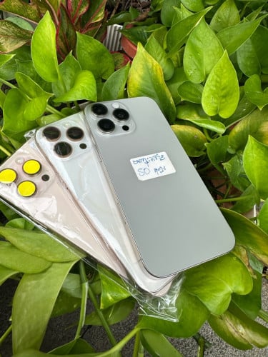 iPhone 15pro max