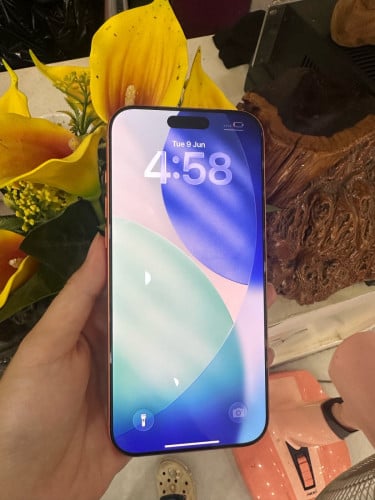iPhone 17 PM ZA 256G