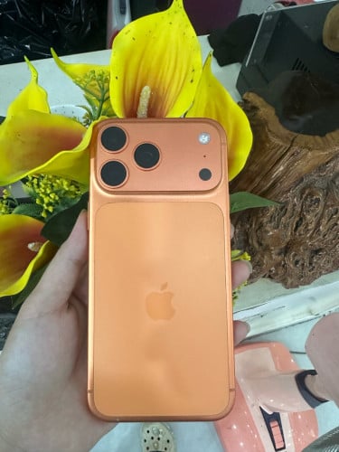 iPhone 17 PM ZA 256G