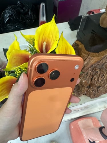 iPhone 17 PM ZA 256G