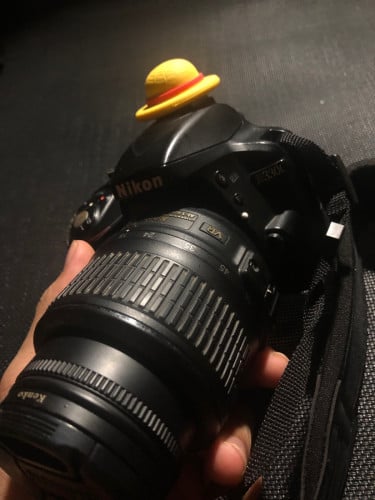 nikon