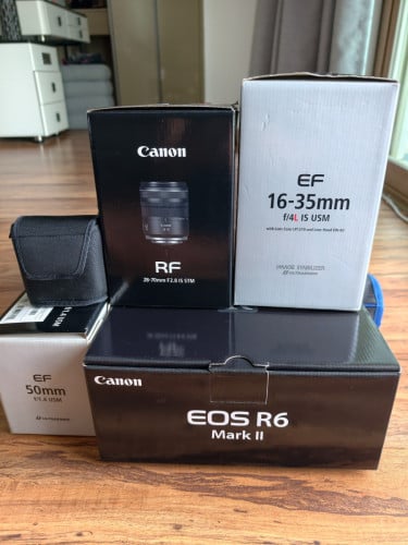 R6 Mark II, RF28-70 F2.8, EF16-35 F4L IS, EF50mm F1.4, Mount Adapter EF-EOS R