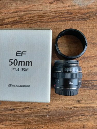R6 Mark II, RF28-70 F2.8, EF16-35 F4L IS, EF50mm F1.4, Mount Adapter EF-EOS R