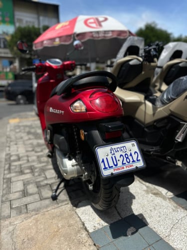 Scoopy club12 2025= 2300$๐แแแ
แธแแถแแแแแ