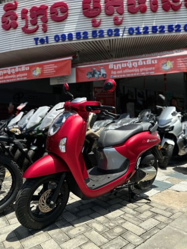 Scoopy club12 2025= 2300$๐แแแ
แธแแถแแแแแ