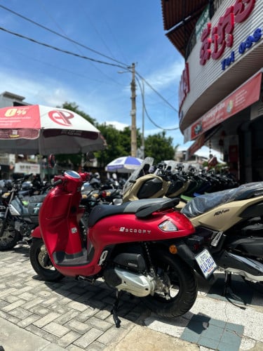 Scoopy club12 2025= 2300$๐แแแ
แธแแถแแแแแ