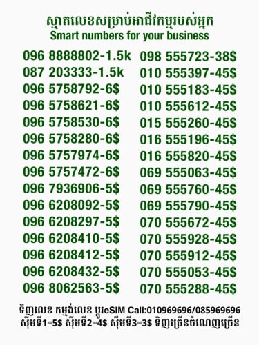Smart លេខសម្រាប់អាជីវកម្ម