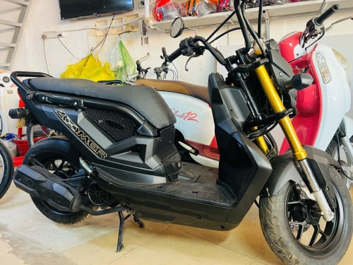 Zoomer X 2020 แแแขแถแ แแแถแแปแธแแแแขแถแ