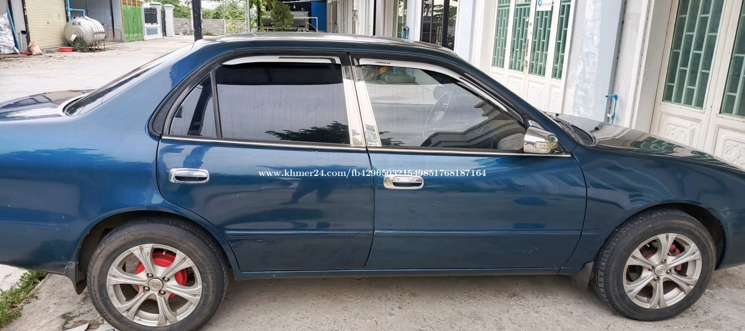 ម៉ាសុីនប្រអប់លេខអេម