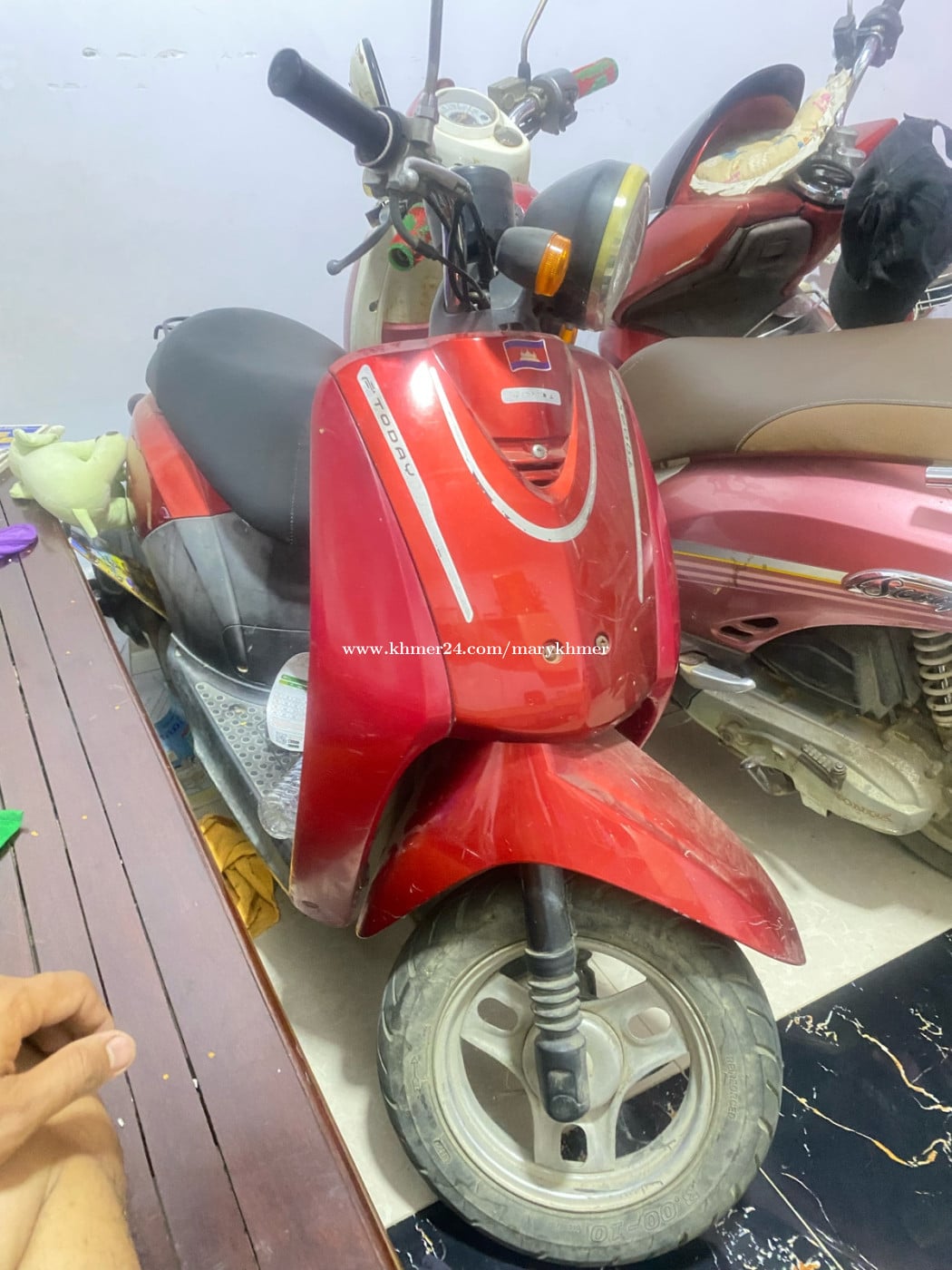 លក់កូនទា 249$