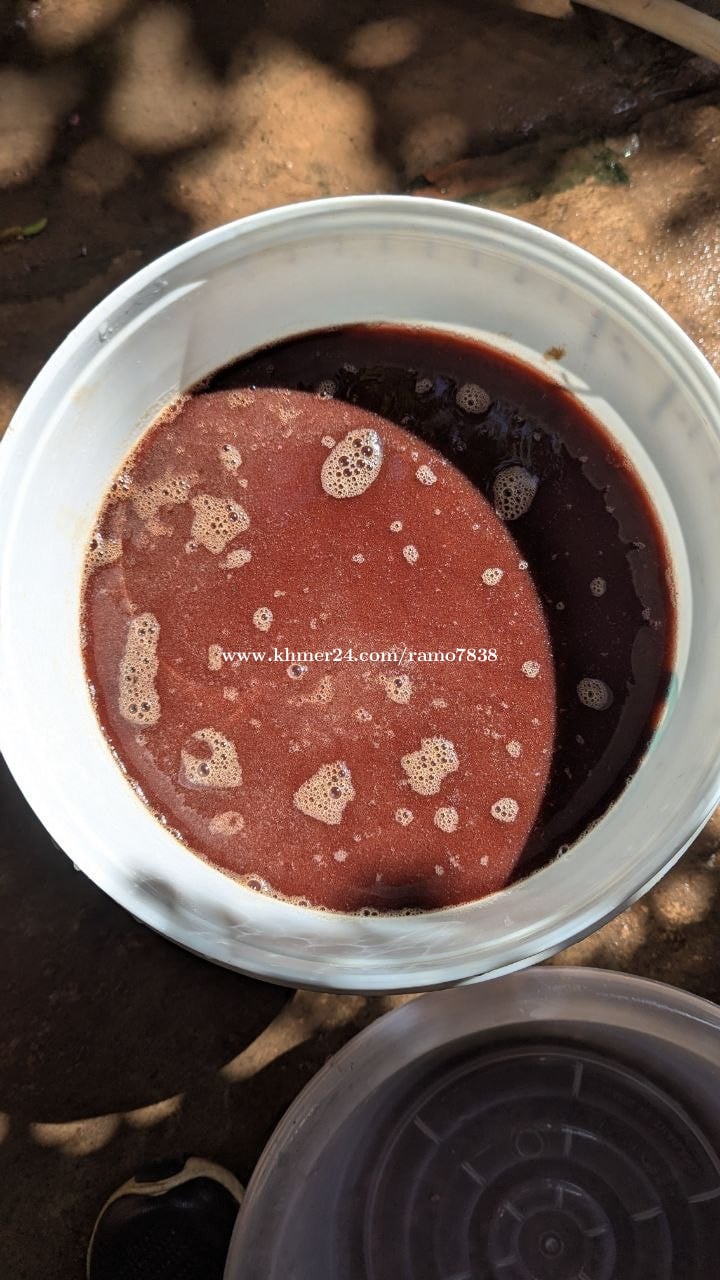 ចៃទឹកបង្កកគុណភាព!សម្អាតជាមួយថ្នាំសម្លាប់មេរោគ1kg15,000៛5kg50,000៛1kg ត្រឹមតែ 2$ (ទិញច្រើន)