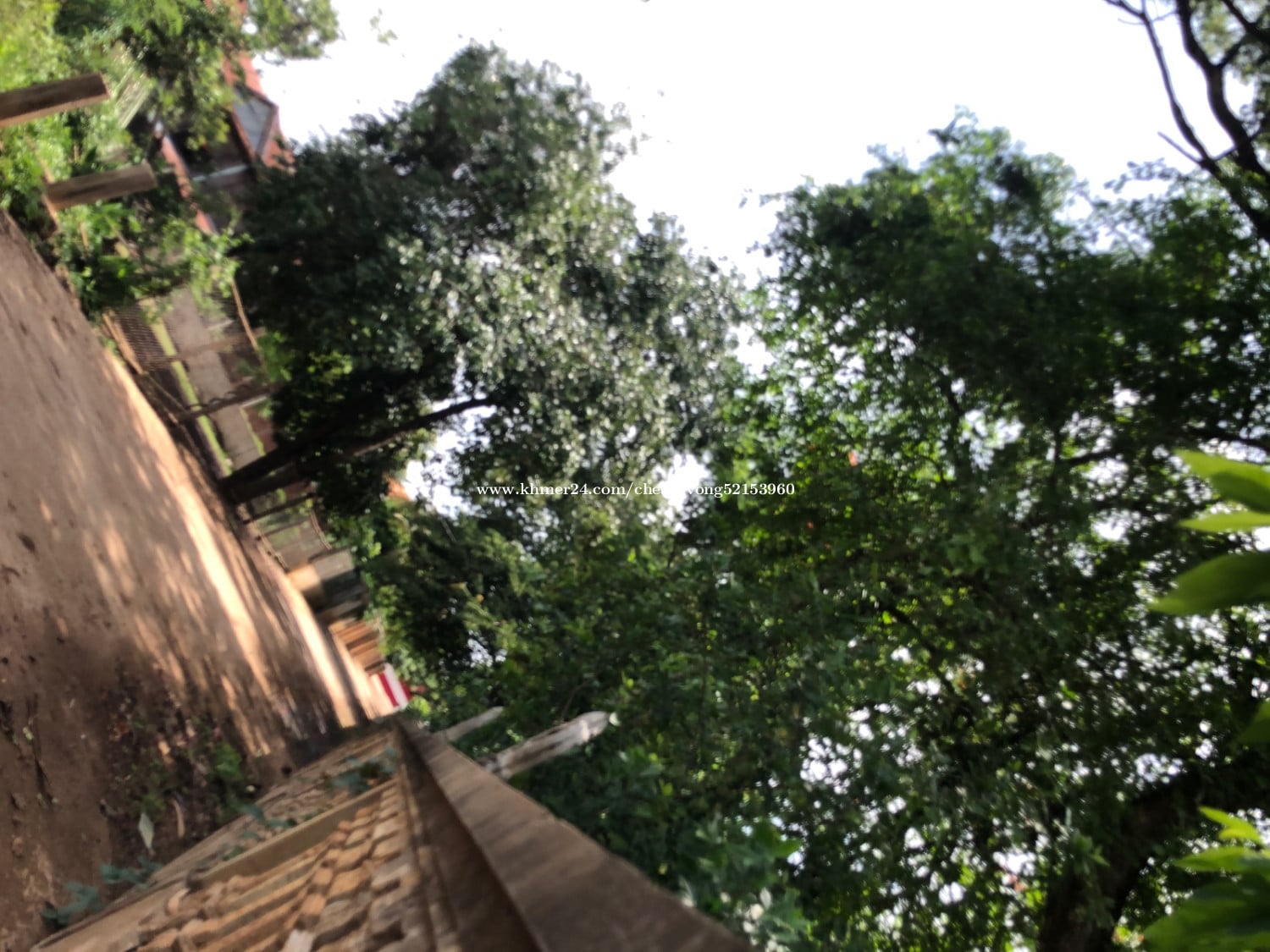 ដីលក់បន្ទាន់បងៗប្អូន ម្ចាស់ដើម💕ទំហំក្បាល់10X35🙏🏻