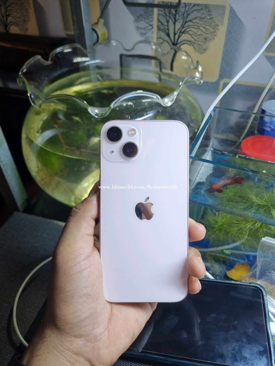iPhone 13 128G 98% ថ្ម75%