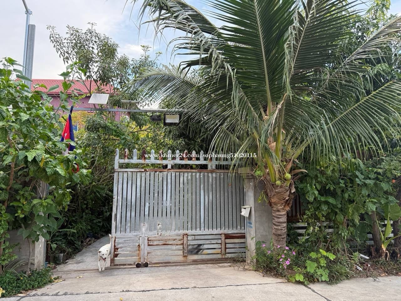 Land for sale (Prek Leap village)