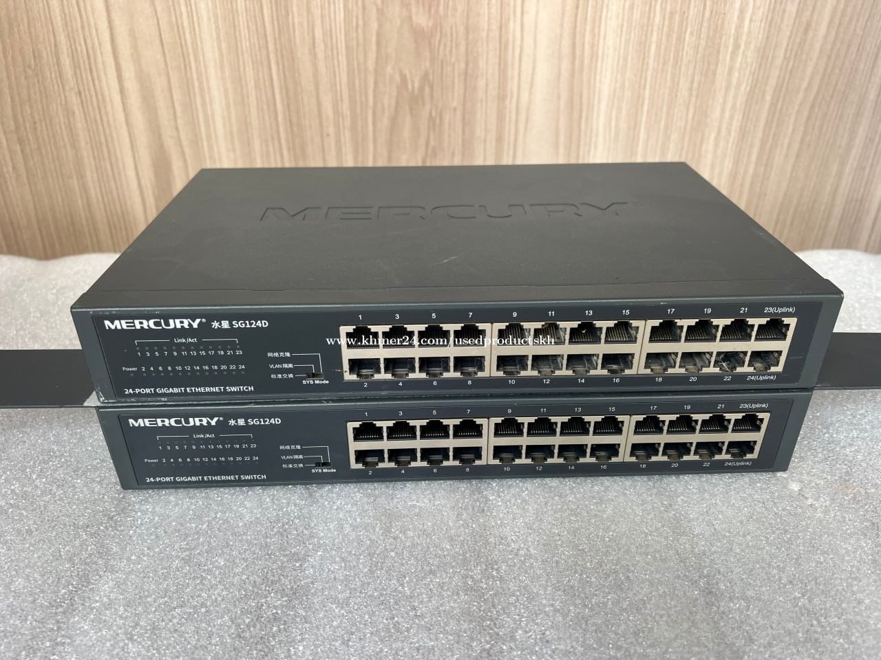 Mercury 24-port Switch