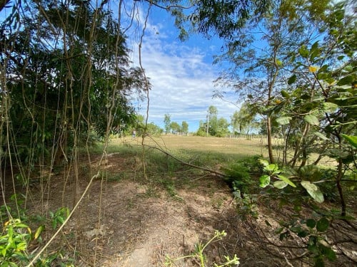ដីលក់នៅសៀមរាប