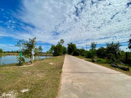 ដីលក់នៅសៀមរាប