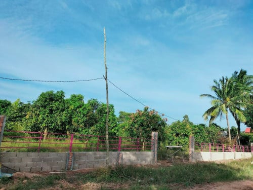ដីចំការលក់បន្ទាន់!