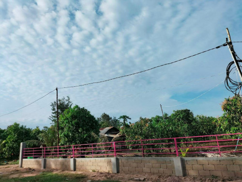 ដីចំការលក់បន្ទាន់!