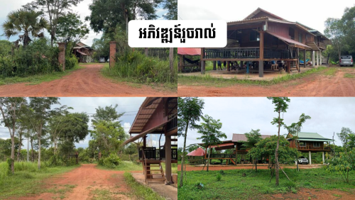 ដីចំការលក់បន្ទាន់!
