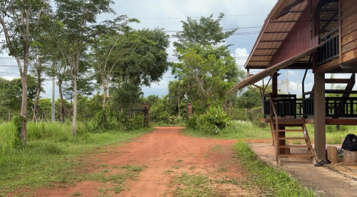 ដីចំការលក់បន្ទាន់!