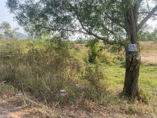 ដីលក់នៅសៀមរាប