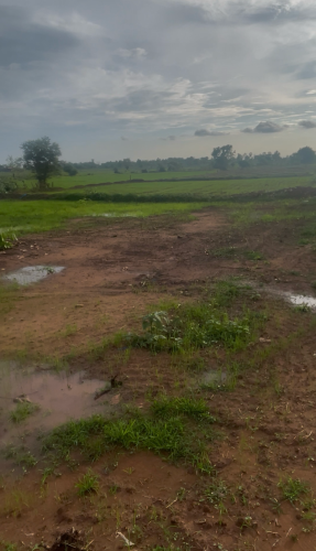 ដីលក់ប្រញាប់លុយ ដីជាប់ផ្លូវជាតិ